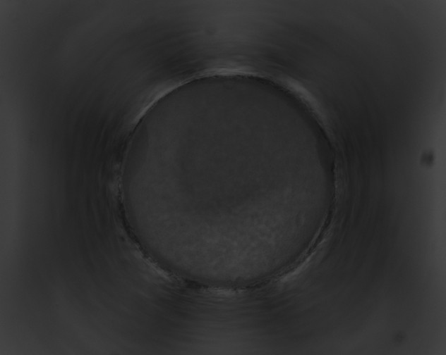 X0000091891361200710031133