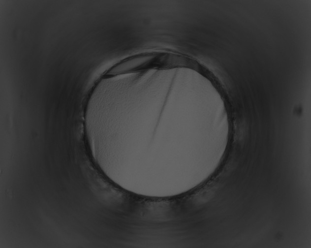 X0000091891363200710031133