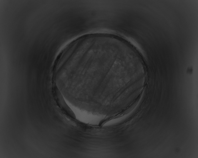 X0000091891364200710031133