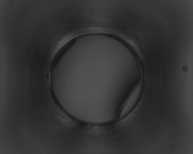 X0000091891365200710031133