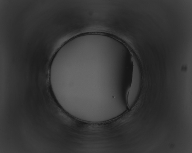 X0000091891366200710031133