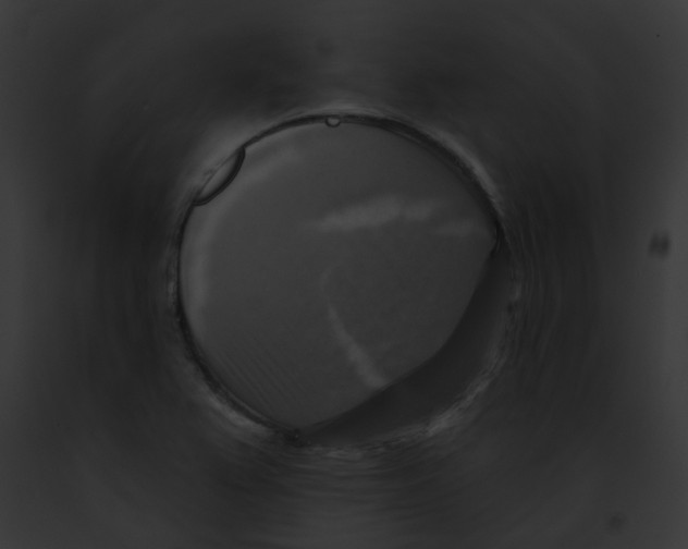 X0000091891367200710031133