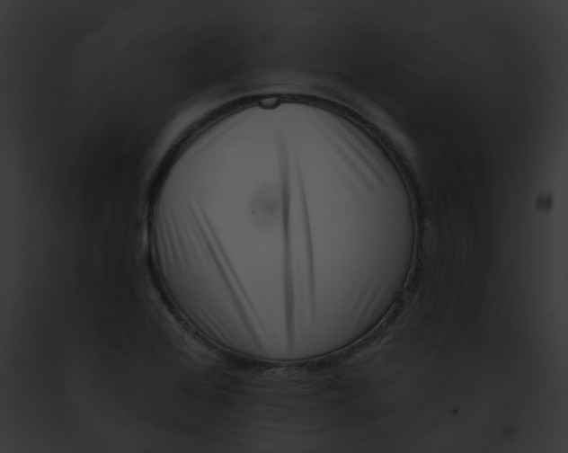 X0000091891368200710031133