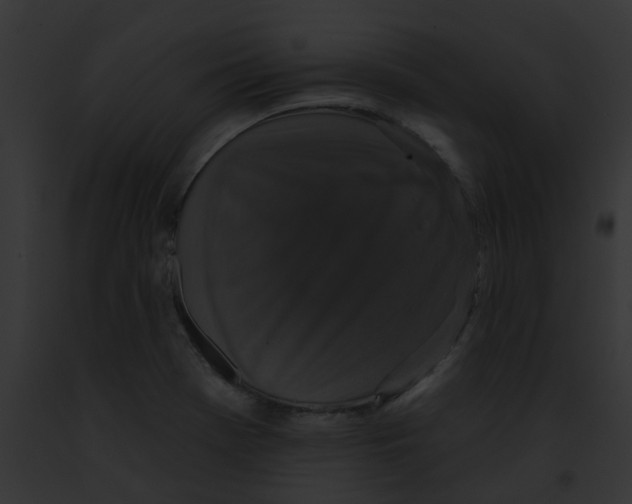 X0000091891369200710031133
