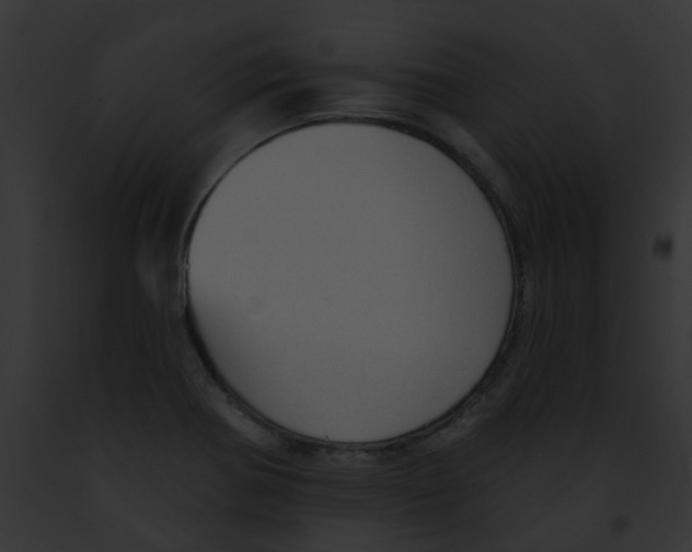 X0000091891370200710031133