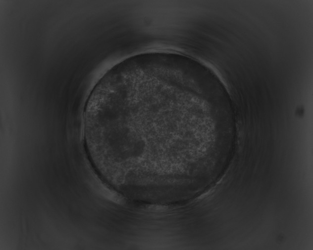 X0000091891371200710031133