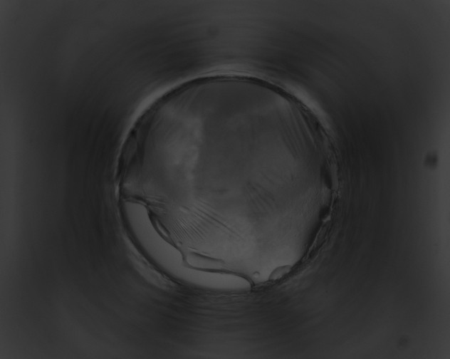 X0000091891372200710031133