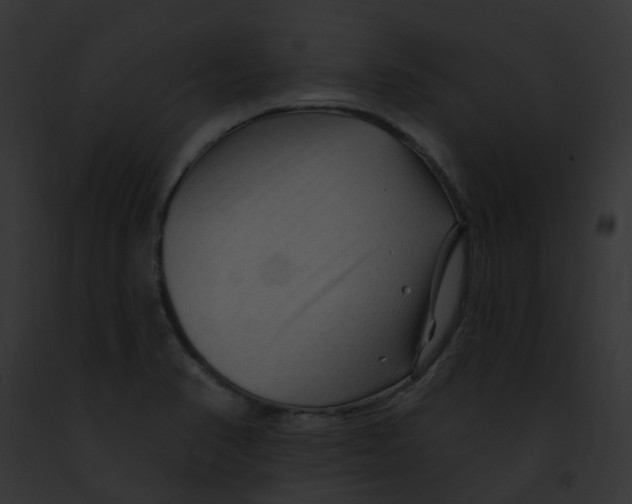 X0000091891374200710031133