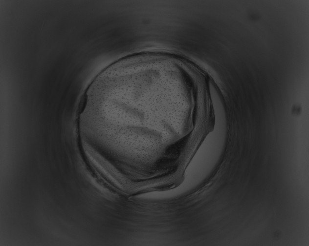 X0000091891375200710031133