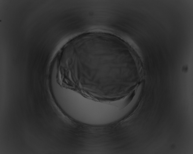 X0000091891376200710031133