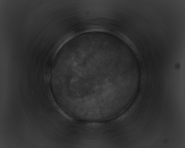 X0000091891377200710031133