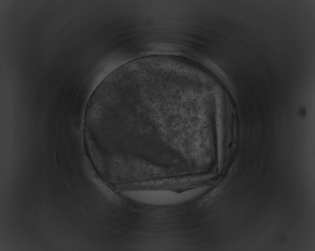 X0000091891378200710031133