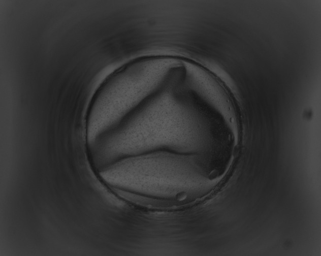 X0000091891380200710031133