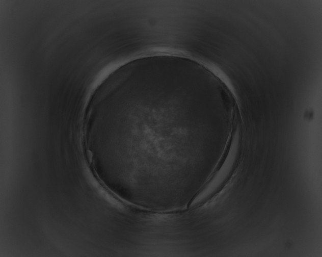 X0000091891381200710031133