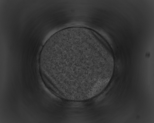 X0000091891382200710031133
