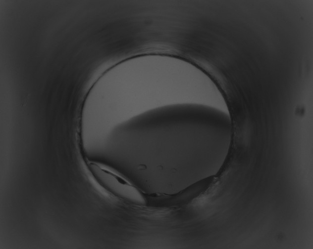 X0000091891383200710031133