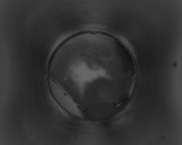 X0000091891384200710031133