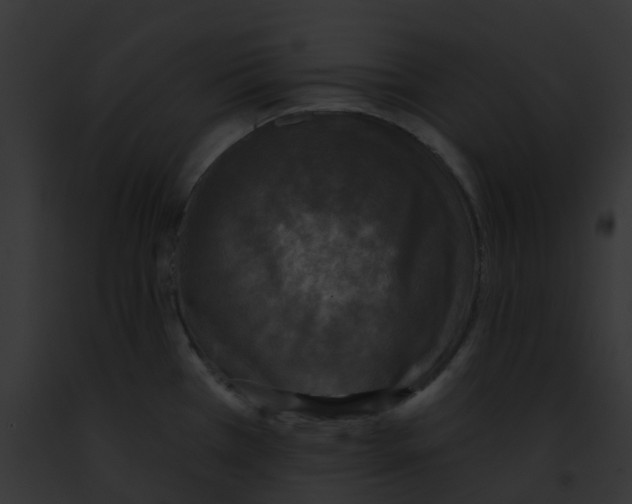 X0000091891385200710031133