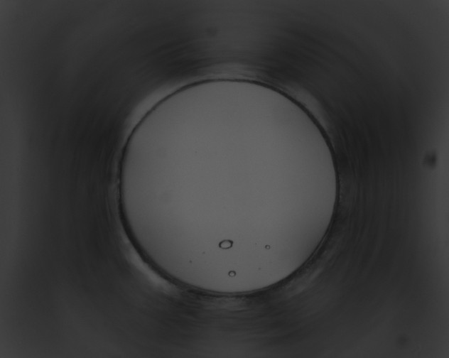 X0000091891387200710031133