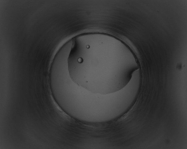 X0000091891388200710031132