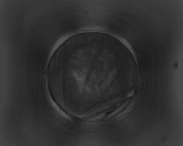 X0000091891389200710031132