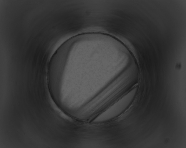 X0000091891390200710031132
