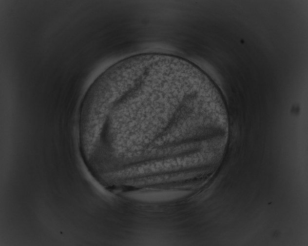 X0000091891391200710031132