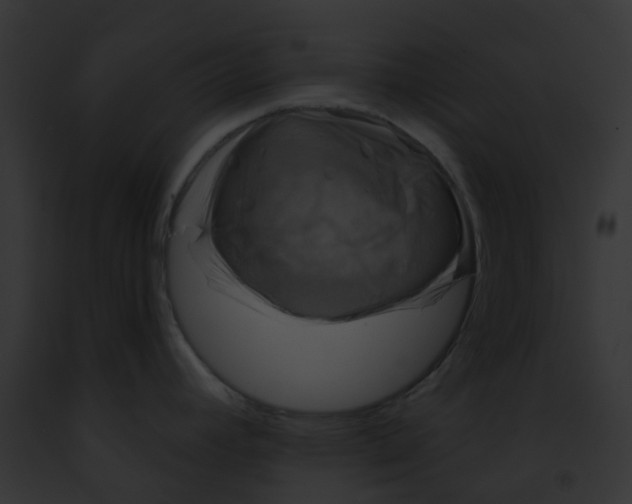 X0000091891392200710031132