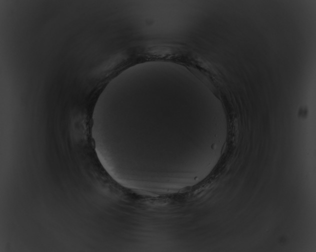 X0000091891394200710031132