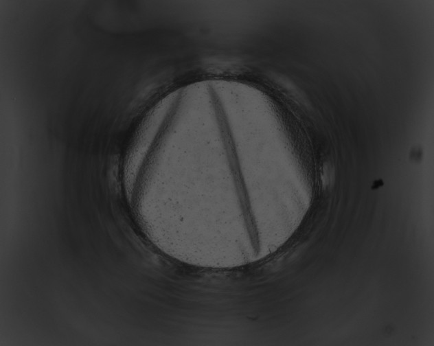 X0000091891396200710031132