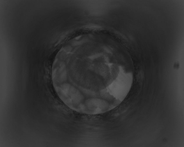 X0000091891397200710031132