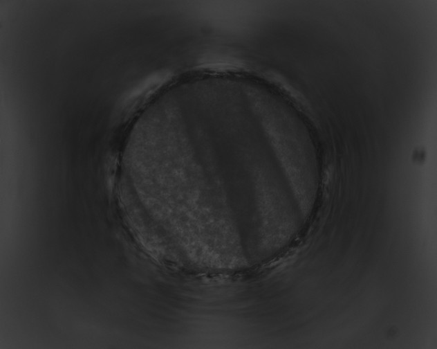 X0000091891398200710031132