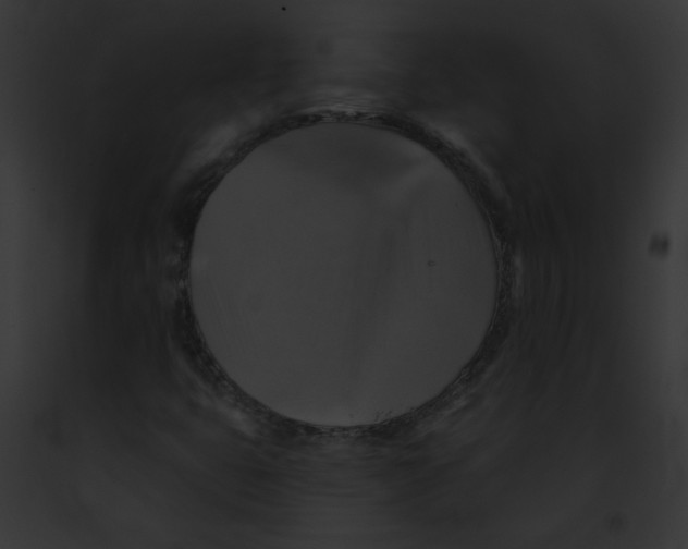 X0000091891399200710031132