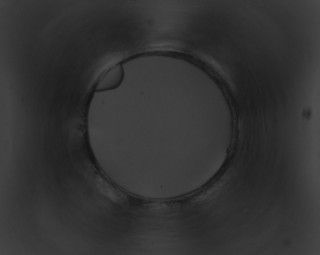 X0000091891405200710031132