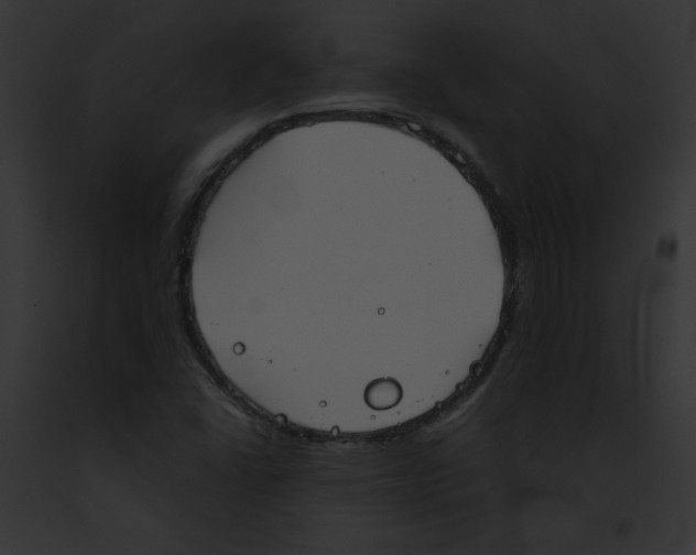 X0000091891406200710031132
