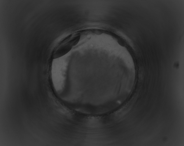 X0000091891411200710031132