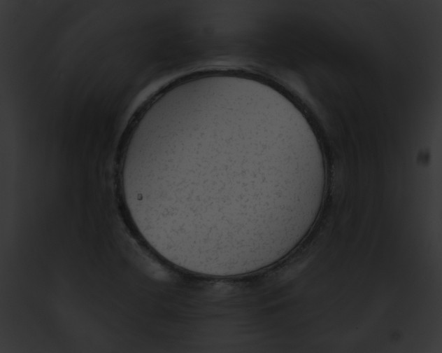 X0000091891412200710031132