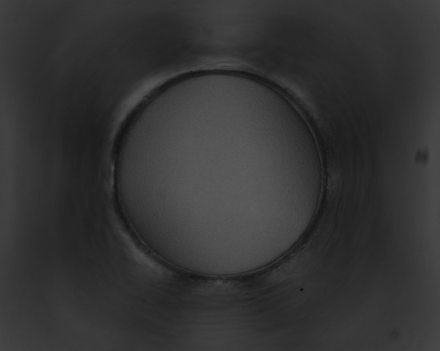 X0000091891414200710031132