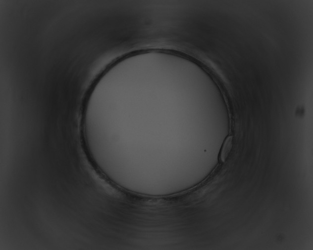 X0000091891416200710031132