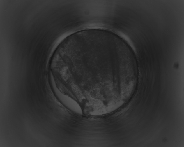 X0000091891419200710031132