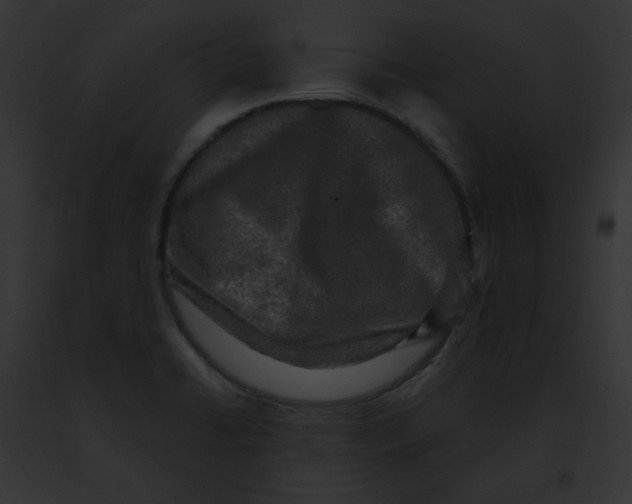 X0000091891422200710031132