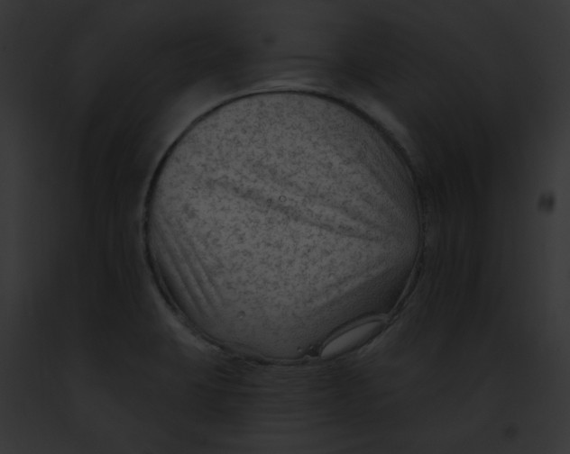 X0000091891423200710031132