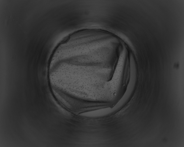 X0000091891424200710031132
