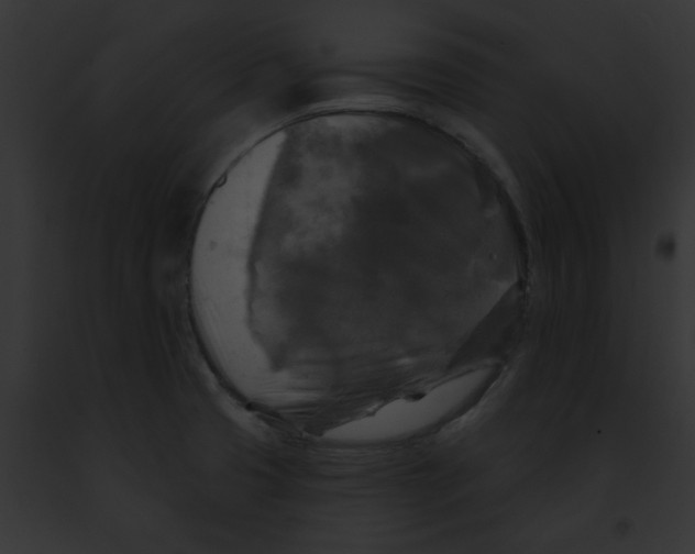 X0000091891425200710031132