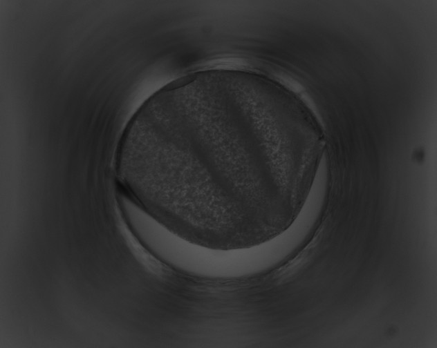 X0000091891426200710031132