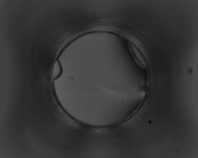 X0000091891428200710031132