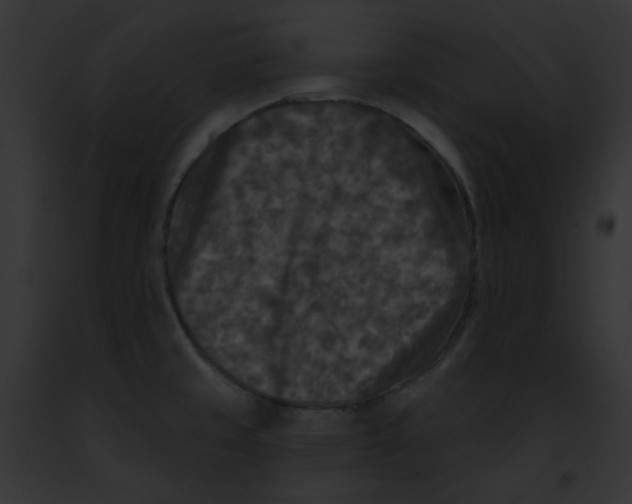 X0000091891429200710031132