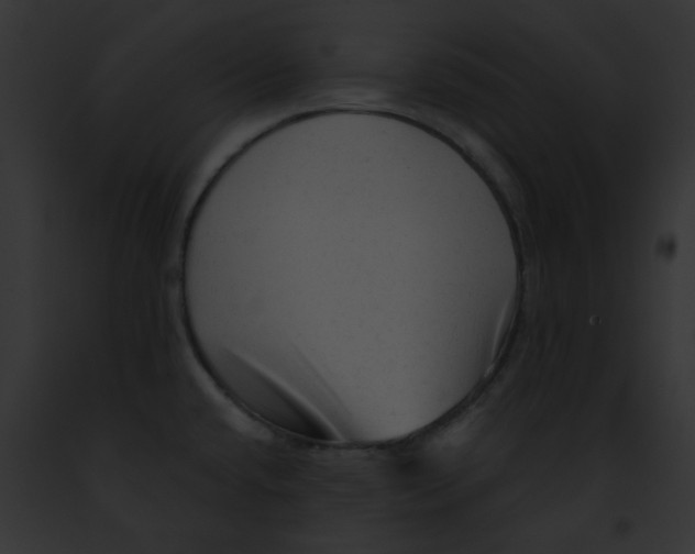 X0000091891432200710031132