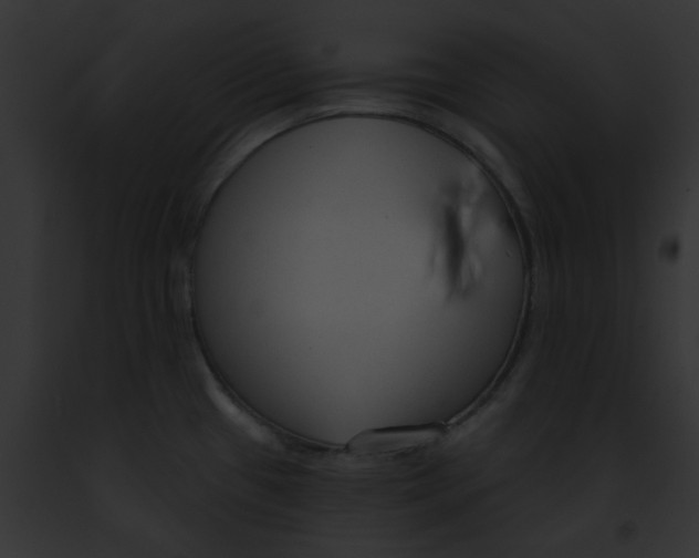 X0000091891433200710031132