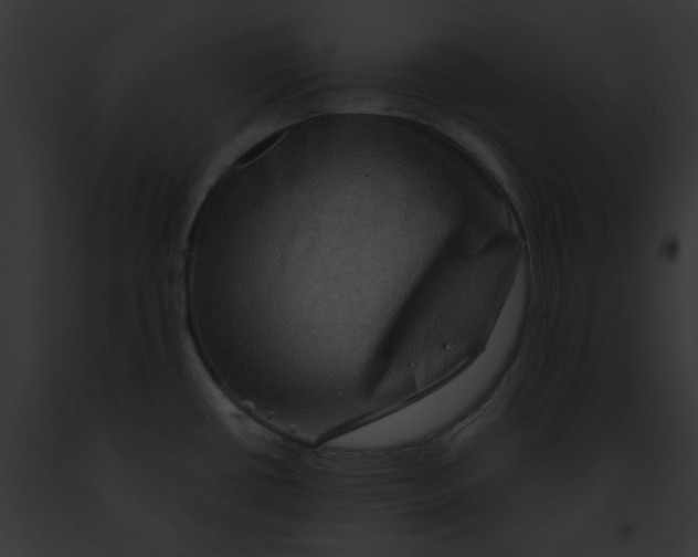 X0000091891434200710031132